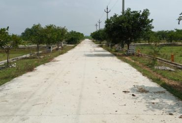 Tuda Approval Residential Layouts plots for sale Thanapalli Tirupathi