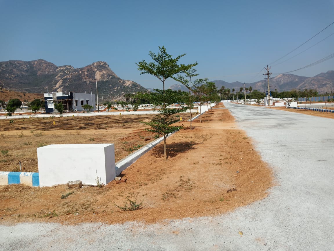 Chandragiri Gated Community Dollars colony Layout plots for sale  tirupati